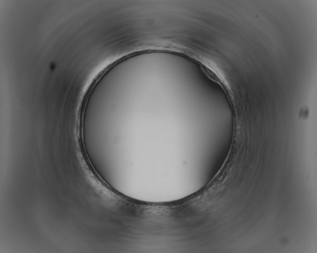 X0000090421136200708031100