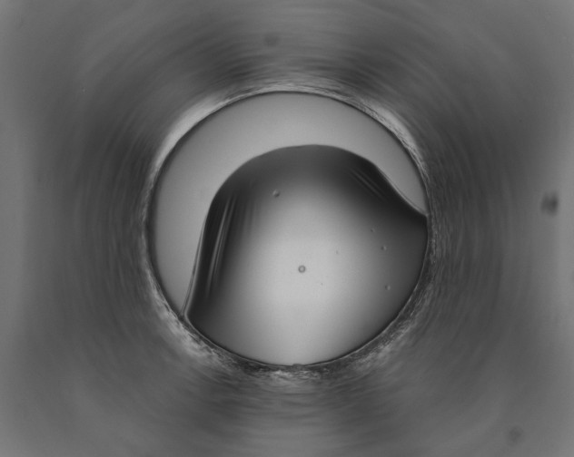 X0000090421138200708031100