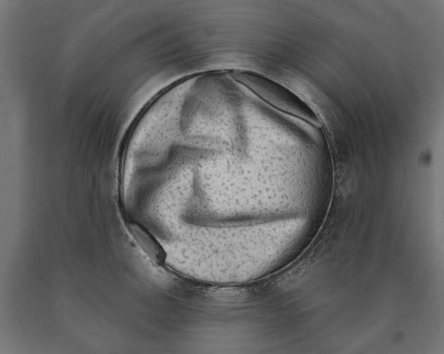 X0000090421140200708031100