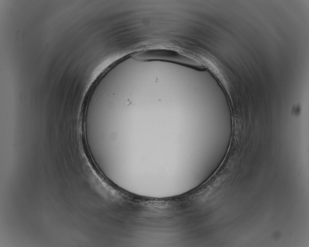 X0000090421141200708031100