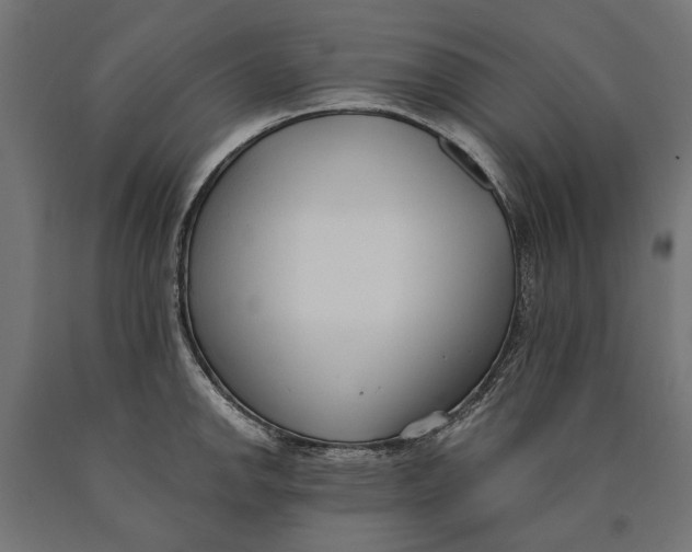 X0000090421142200708031100