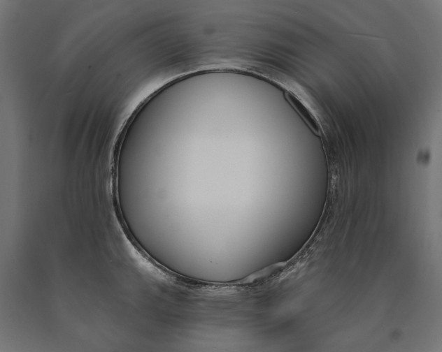 X0000090421143200708031100