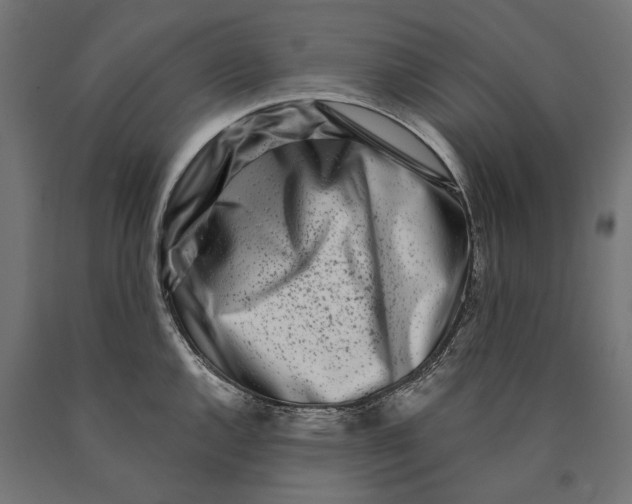 X0000090421144200708031100