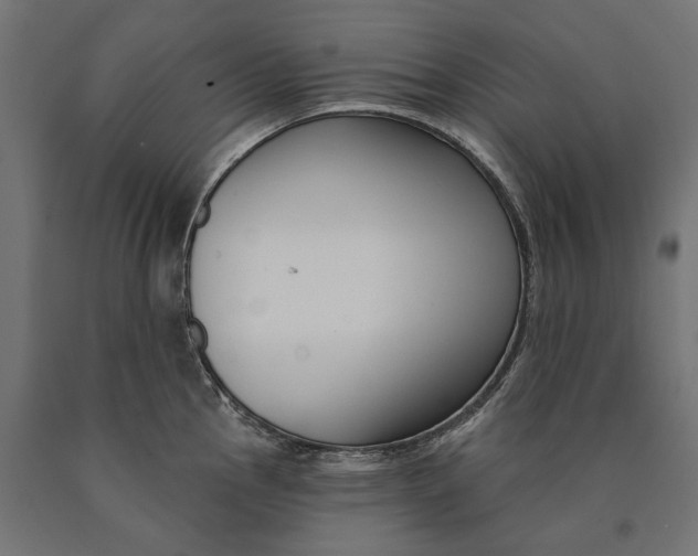 X0000090421145200708031100