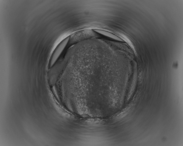 X0000090421146200708031100