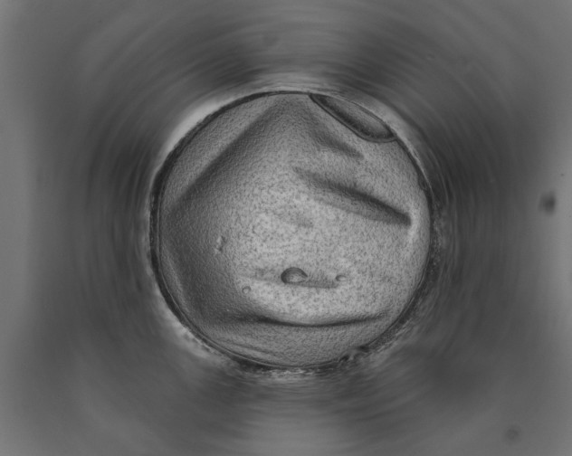 X0000090421147200708031100