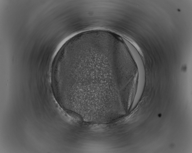 X0000090421148200708031100