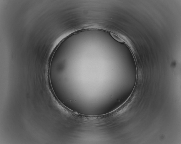 X0000090421149200708031100