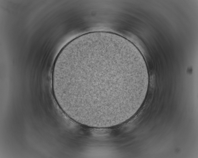 X0000090421150200708031100