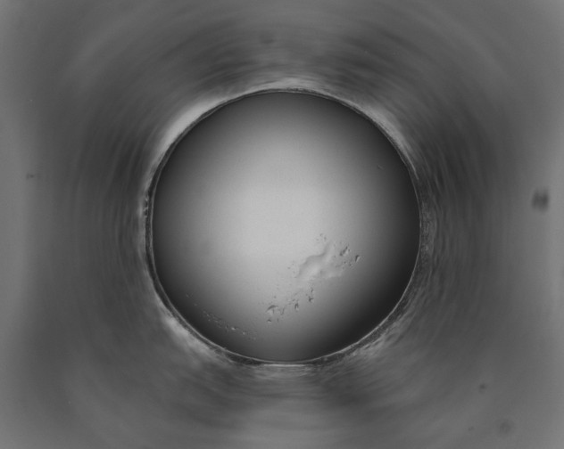 X0000090421151200708031100