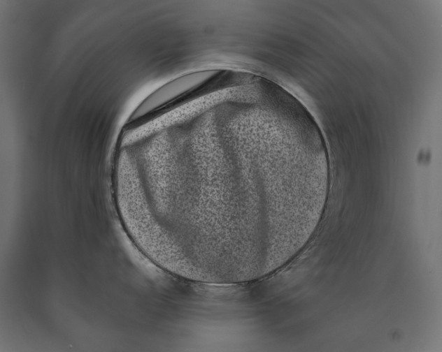 X0000090421152200708031100