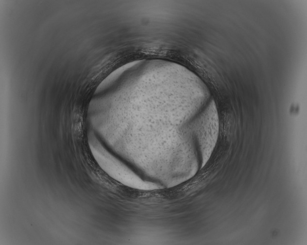 X0000090421154200708031059