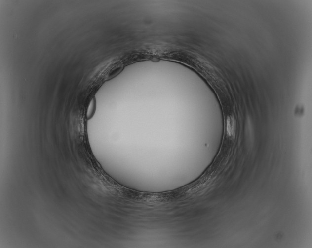 X0000090421155200708031059