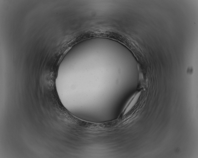 X0000090421156200708031059