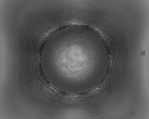 X0000090421157200708031059