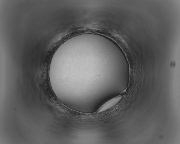 X0000090421159200708031059