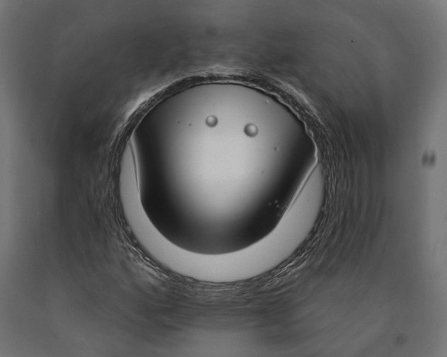 X0000090421160200708031059