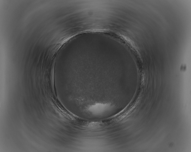 X0000090421161200708031059