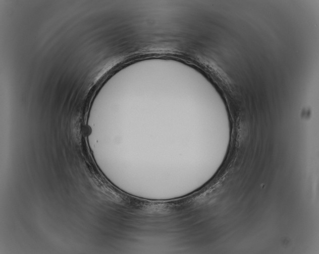 X0000090421162200708031059