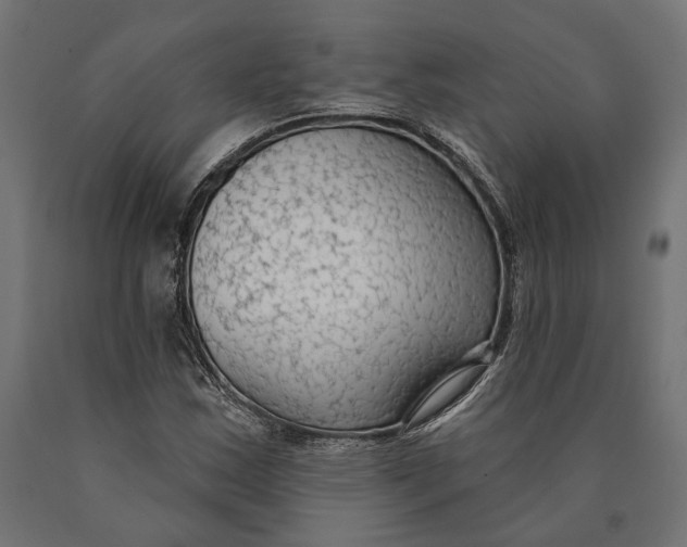 X0000090421163200708031059