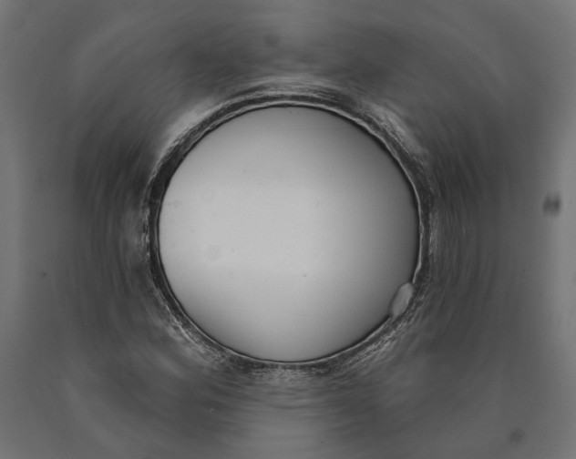 X0000090421164200708031059