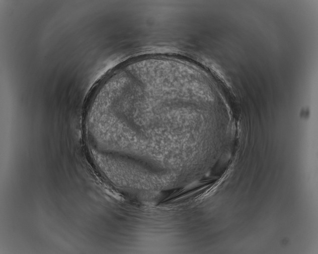 X0000090421165200708031059