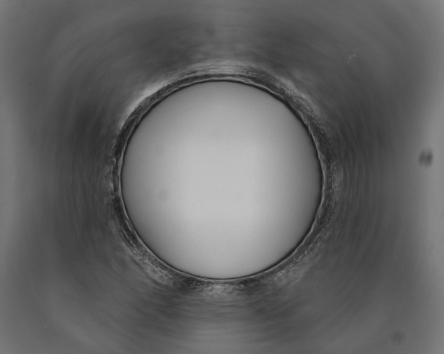 X0000090421166200708031059