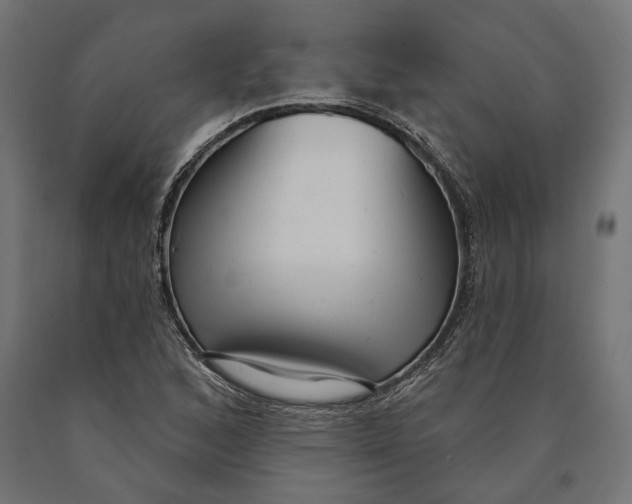 X0000090421168200708031059