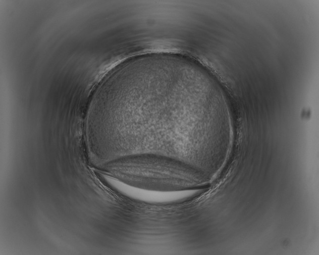 X0000090421169200708031059