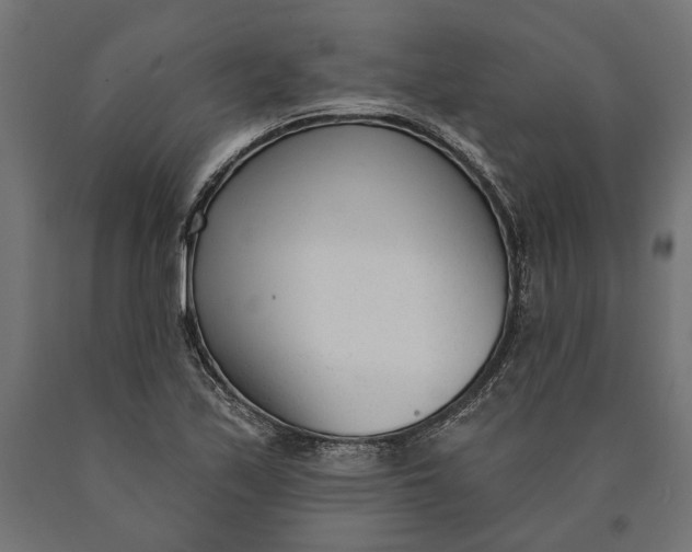 X0000090421171200708031059