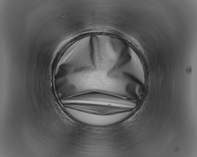 X0000090421172200708031059