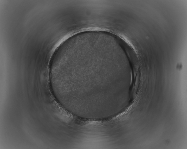 X0000090421173200708031059