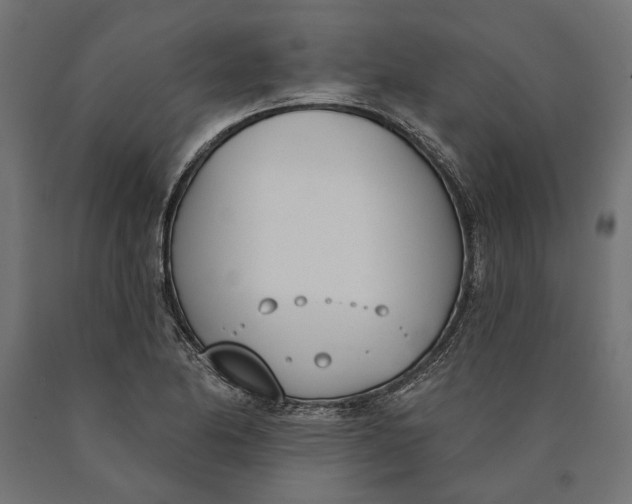 X0000090421174200708031059