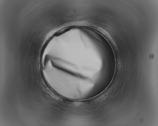 X0000090421176200708031059