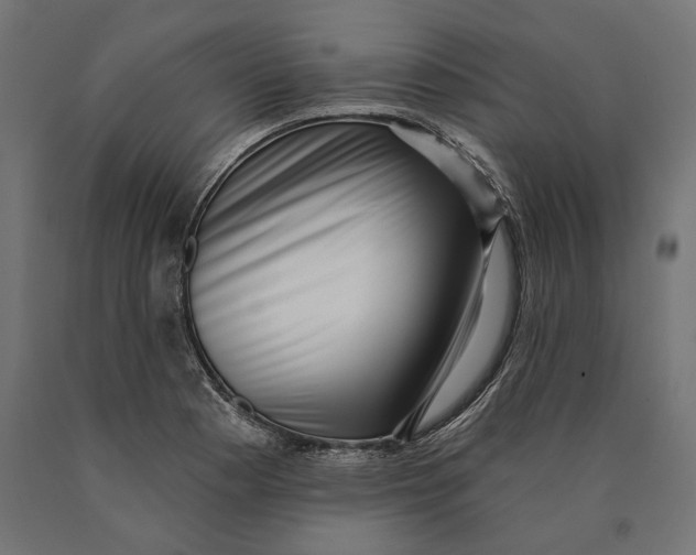 X0000090421177200708031059