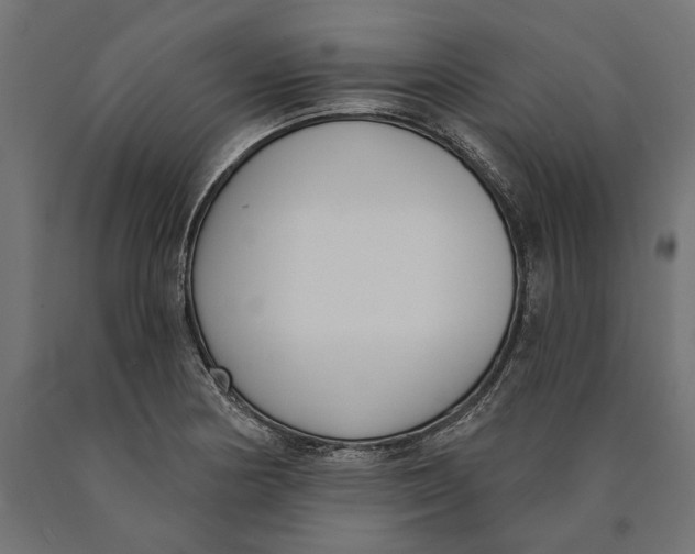 X0000090421178200708031059