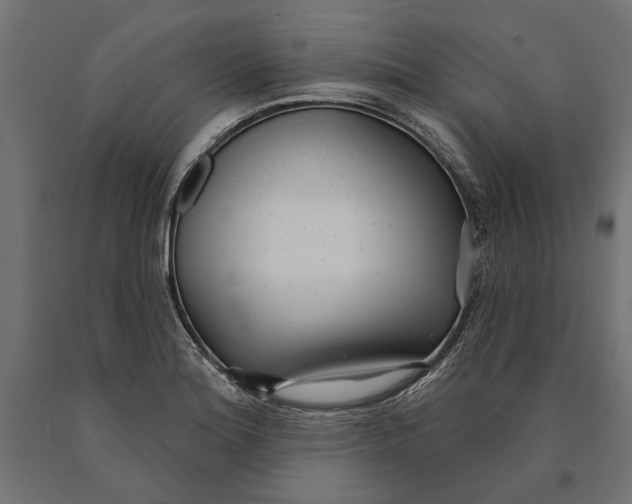 X0000090421180200708031059