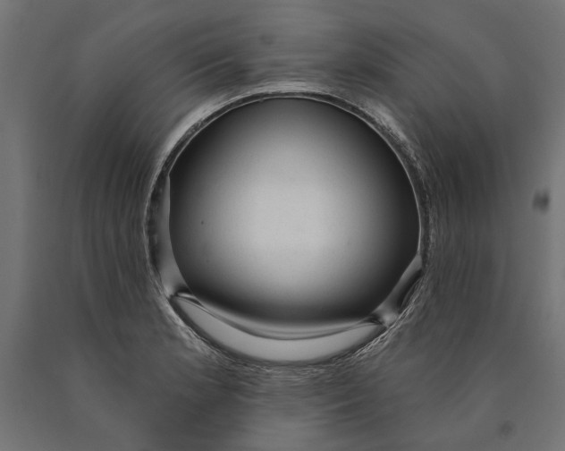 X0000090421181200708031059