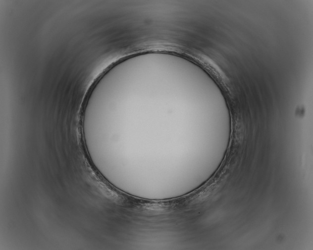 X0000090421182200708031059