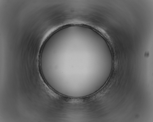 X0000090421183200708031059