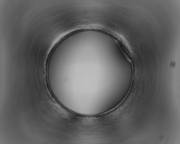 X0000090421184200708031059