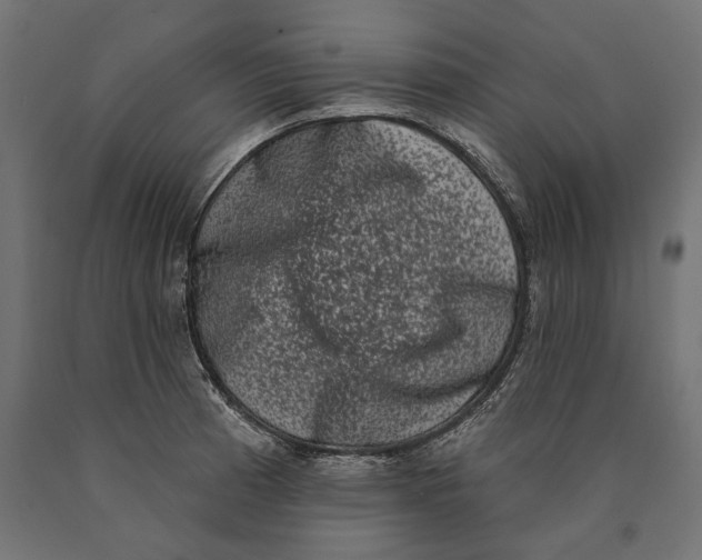 X0000090421185200708031059