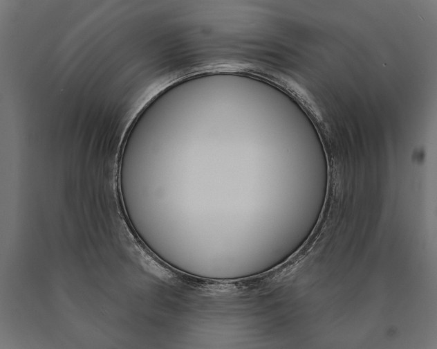 X0000090421186200708031059