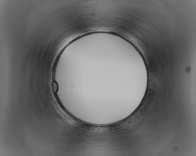 X0000090421187200708031059