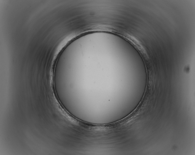 X0000090421188200708031059