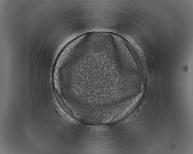 X0000090421189200708031059