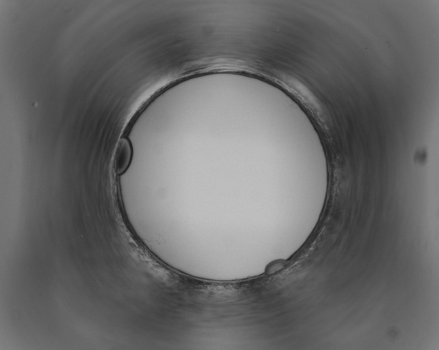 X0000090421190200708031059