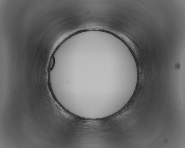 X0000090421191200708031059