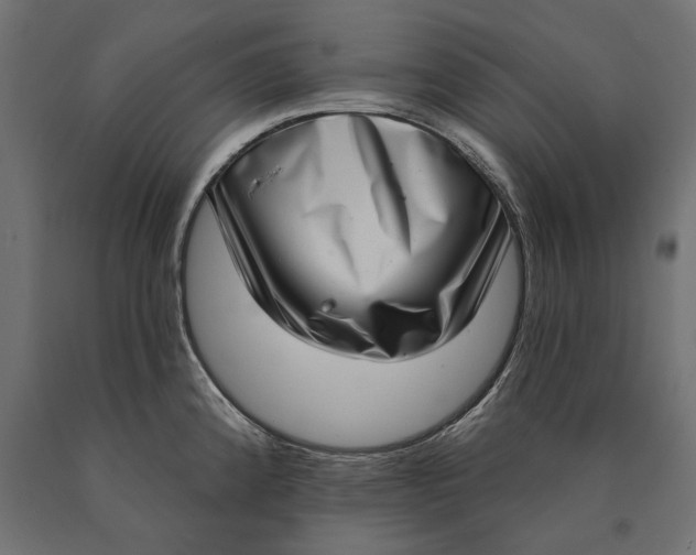 X0000090421192200708031059