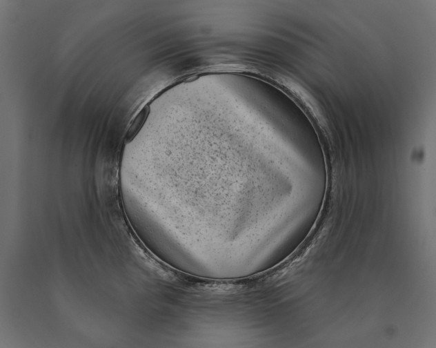 X0000090421193200708031059